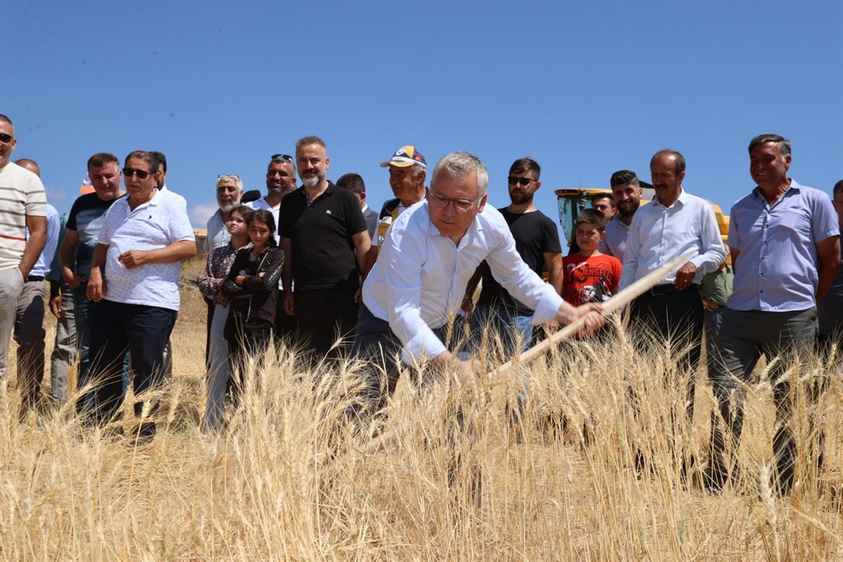 Sivas'ta ata tohumunun hasadı yapıldı